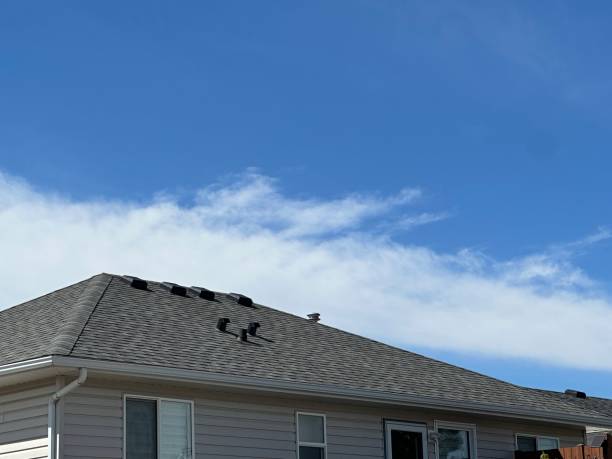 Asphalt Shingles Roofing in Kemp, TX